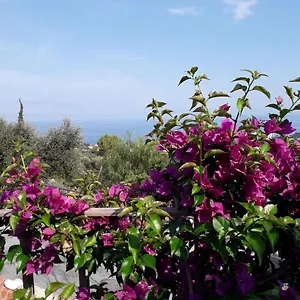 il-porto-di-benny.hotelitalianriviera.com/